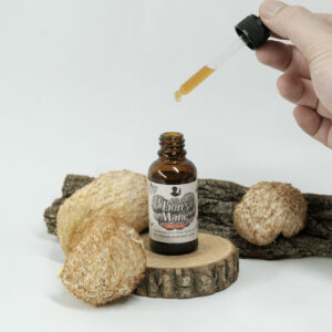 Lion's Mane Tinctuur
