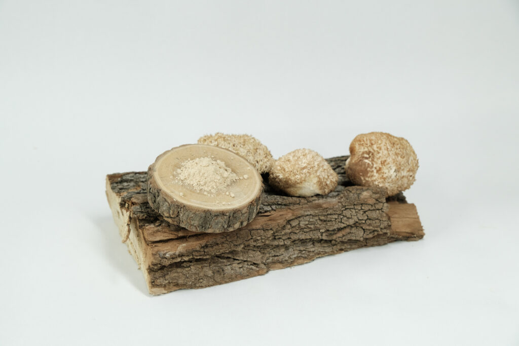Lion's Mane Poeder 100g