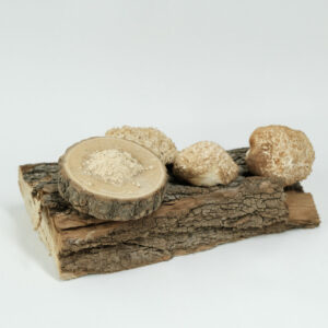 Lion's Mane Poeder 100g